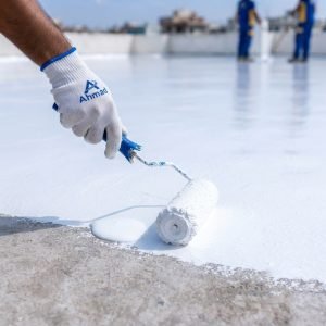 Trusted Roof Waterproofing Services in Nowshera Virkan
